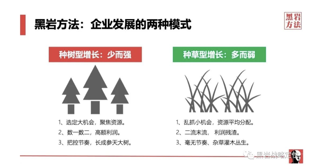 盐津铺子(图2)