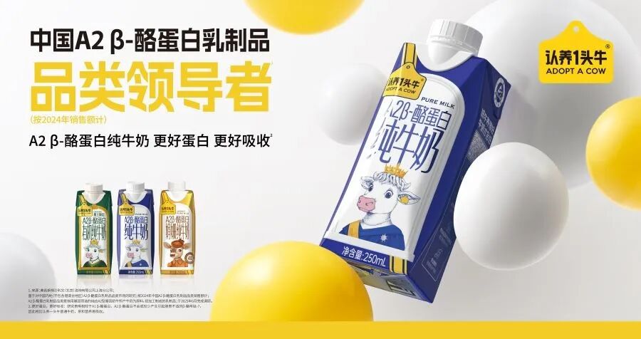 新一程的征途|黑岩战略定位跃迁新居(图7) 新一程的征途|黑岩战略定位跃迁新居(图7)